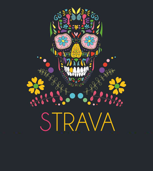 Strava jako alkoholno piće – snažan i intenzivan okus, idealan za ljubitelje jakih alkoholnih pića.