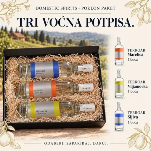 Kartica sadržaja poklon paketa — „TERROAR Premium” poklon paket.